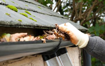 gutter cleaning Wrangway, Somerset